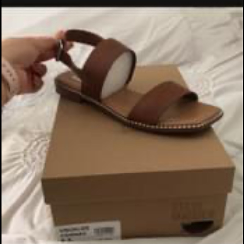 Steve madden sandal